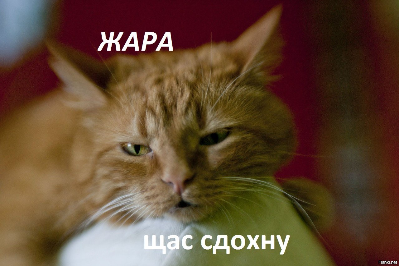Прикольные картинки про жару на работе, картинки