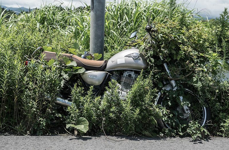 Одинокий мотоцикл, привязанный цепью к столбу, почти слился с травой