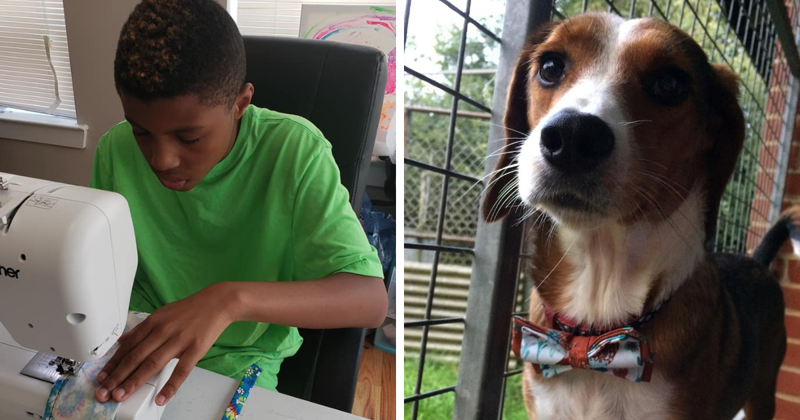 Мальчик-предприниматель нашел необычный способ помочь бездомным животным