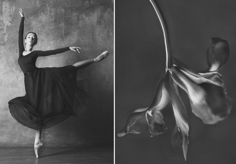 «Балерина и цветы» – серия о сходстве двух изяществ