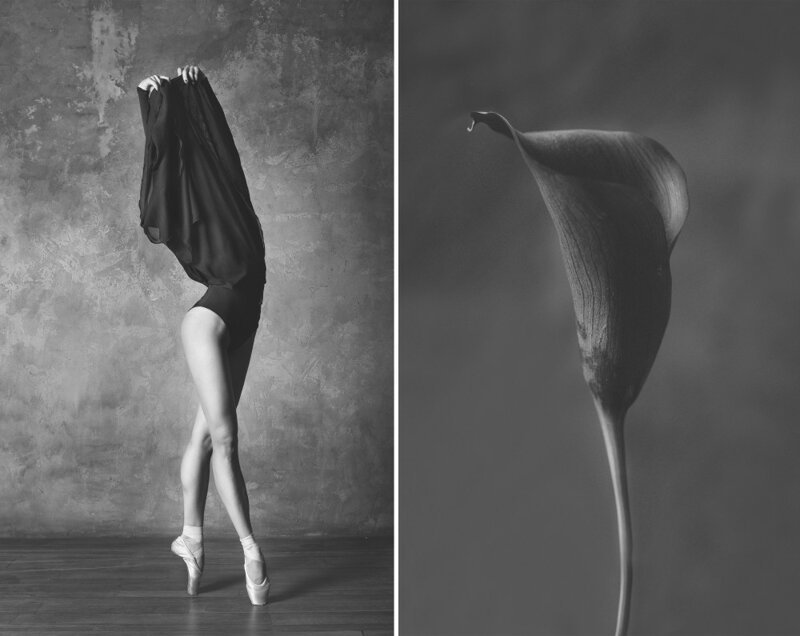 «Балерина и цветы» – серия о сходстве двух изяществ