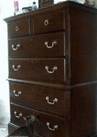 Кошачьи гифки