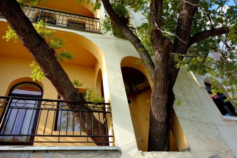 30 странных домов с деревьями: красота или маразм?