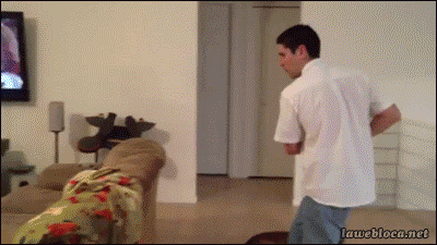 Мы в ответе за тех, кого приручили