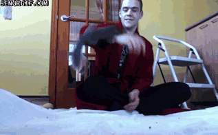 Мы в ответе за тех, кого приручили