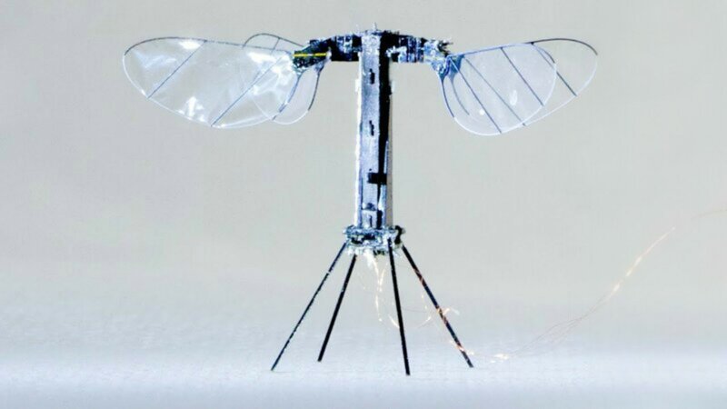 Инженеры создали робота-пчелу, летающую на солнечных батареях