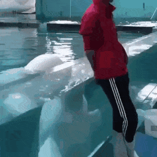 Намешалось Намешалось