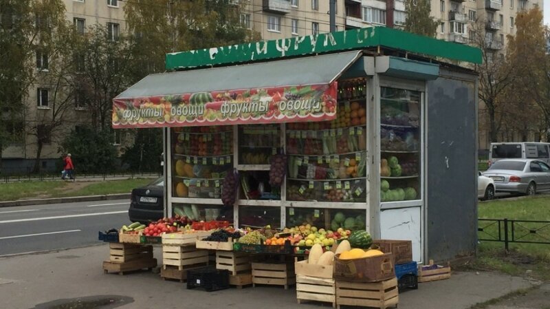Они как крысы