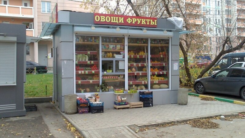 Они как крысы