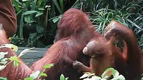 Подборка оригинальных гифок