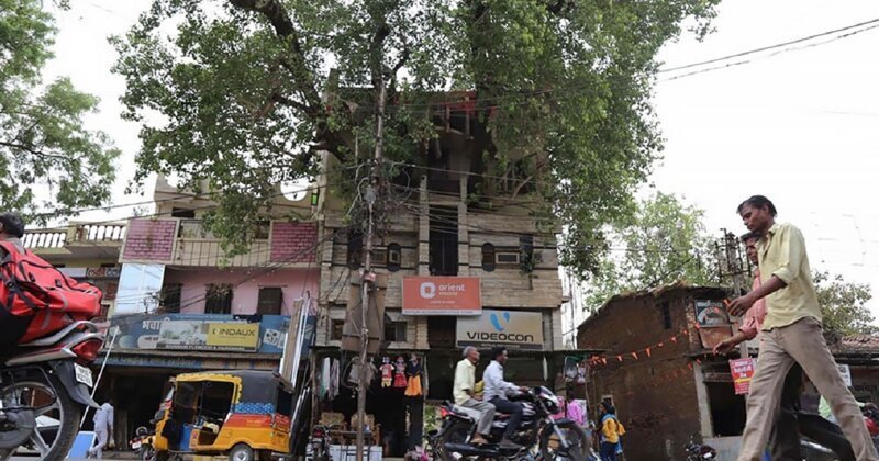 Сегодня дом семьи Кешарвани является одной из самых впечатляющих достопримечательностей Джабалпура - вилла с гигантским стволом дерева, вздымающим сквозь несколько этажей, и толстыми ветвями, выходящими через окна, стены и крышу