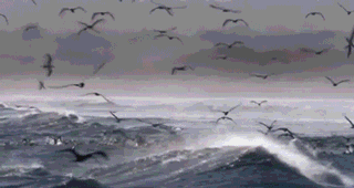 Гифки всякие