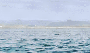 Гифки всякие