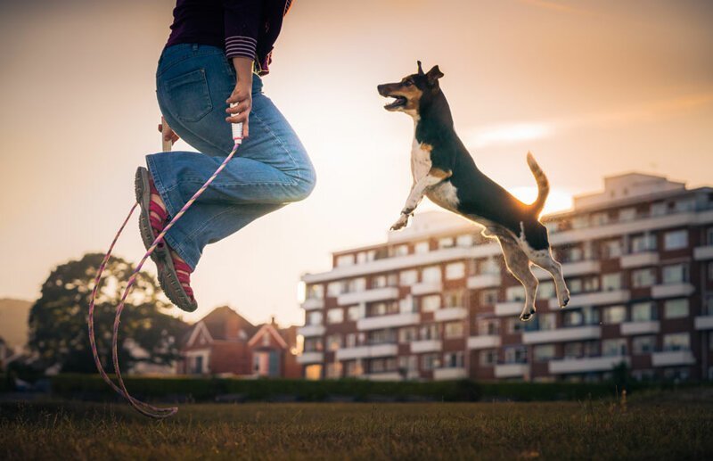 "Давай вместе прыгать через скакалку!", Золтан Кечкес, Великобритания, 2-е место в категории "Собаки за игрой"