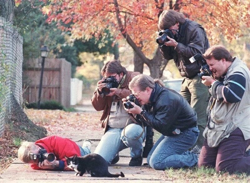 3. Фотографы и кот семьи Билла Клинтона, 1993 год