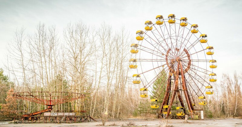 Почему растения Чернобыля не гибнут от рака