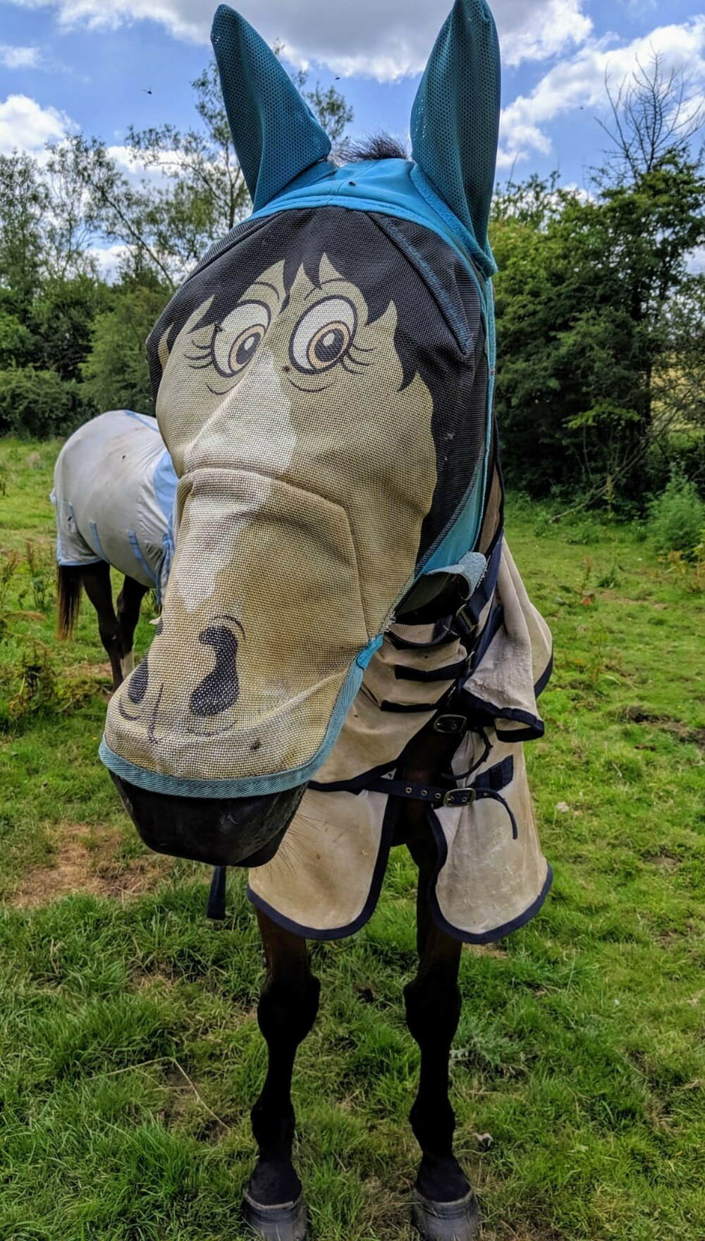 Фотоподборка от Димон за 07 июля 2019