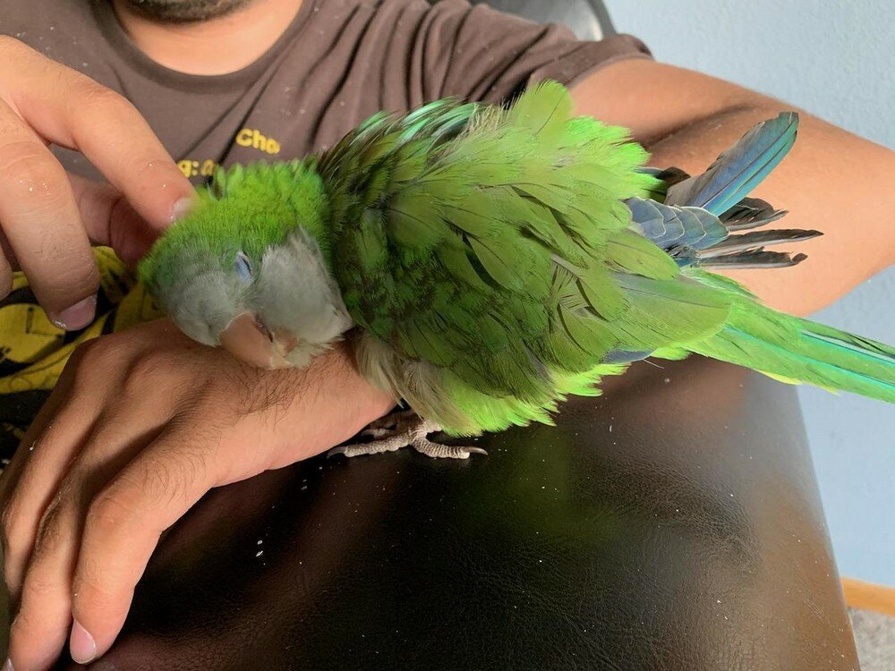 Фотоподборка от Димон за 07 июля 2019