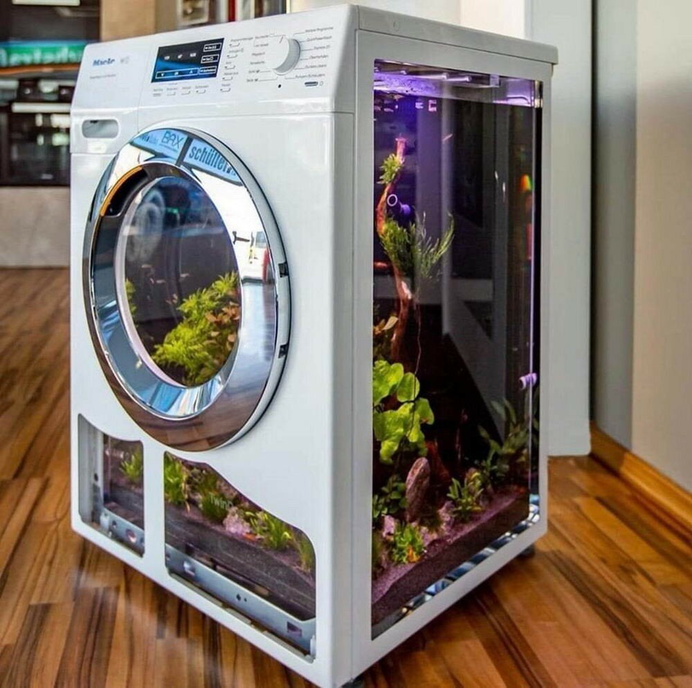 Фотоподборка от Димон за 07 июля 2019