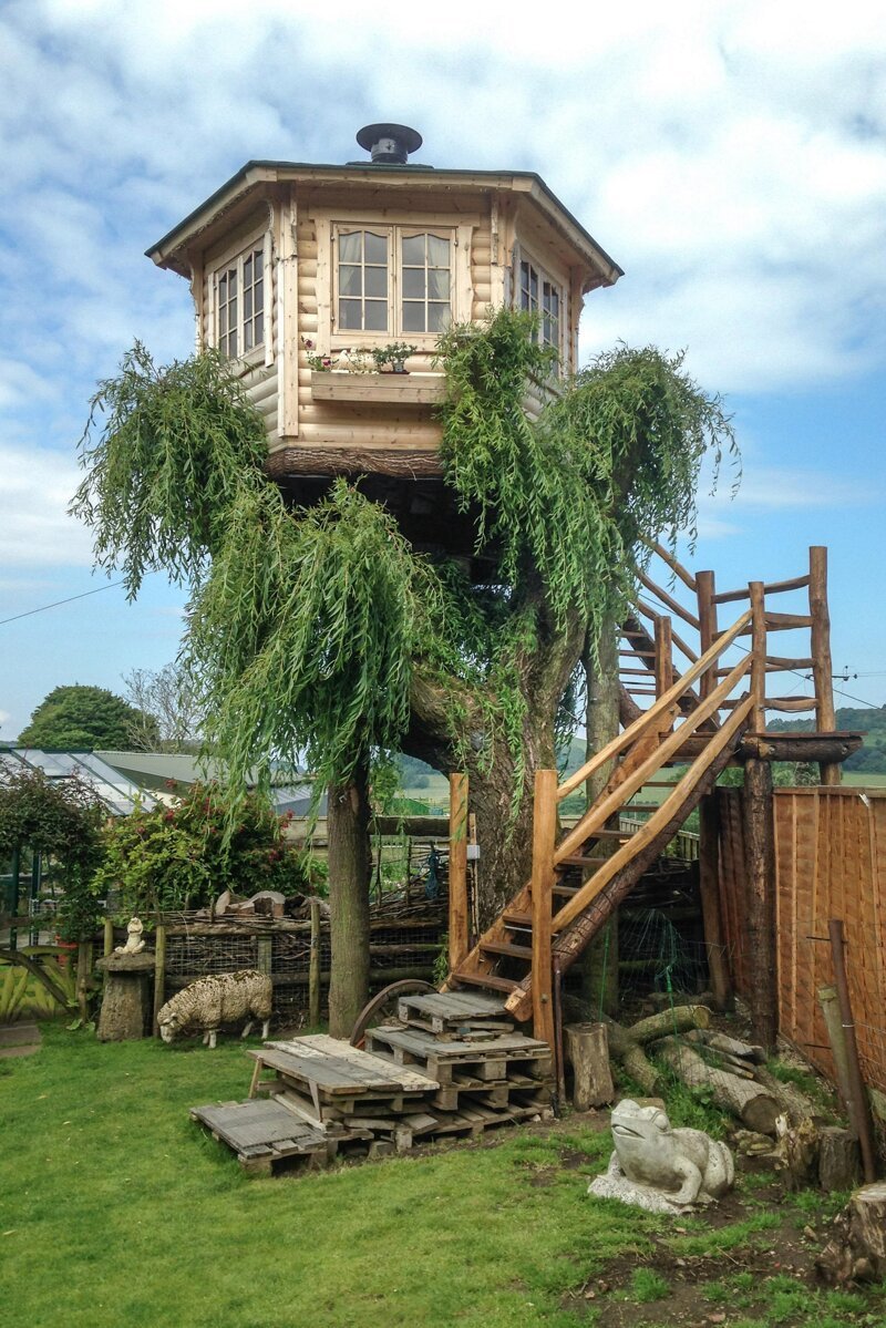 Сам домик сделан из сосны, а лестницы — из древесины местного дуба и каштана