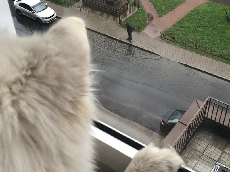 Я тонула, но никто не спас