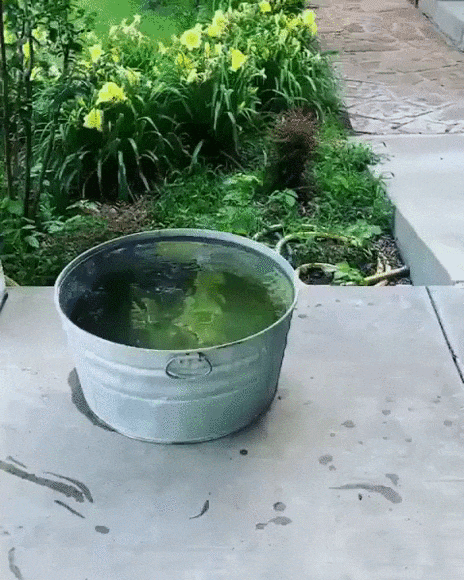 В жару сойдет