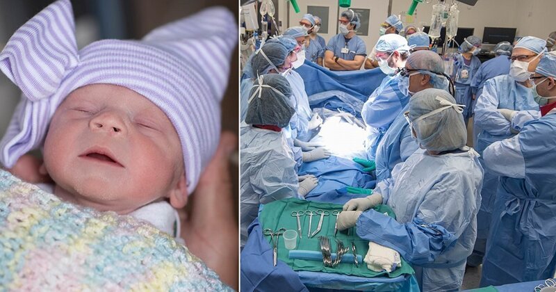 В США родился первый ребенок, матери которого была пересажена матка умершего донора
