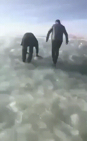 Разница между полным и задним приводом