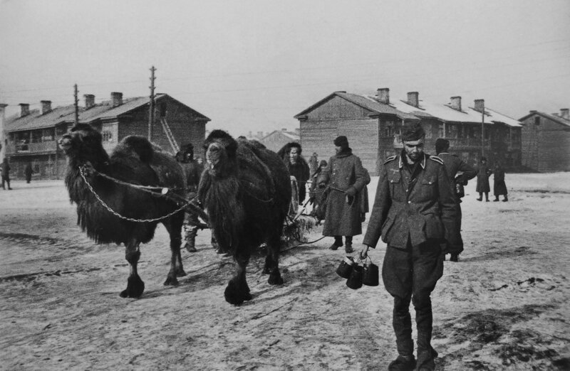 Фронт и тыл Великой Отечественной на снимках 14-ти военных фотографов