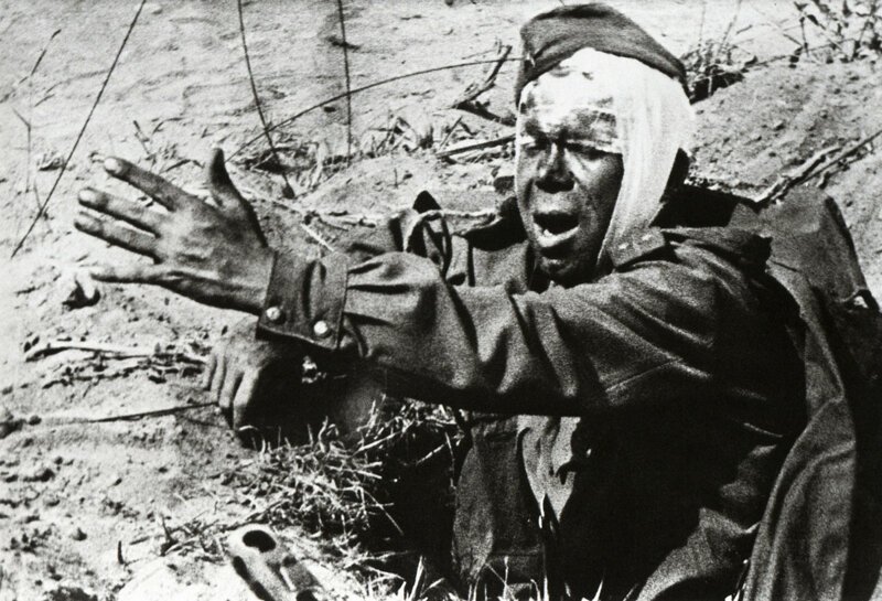 Фронт и тыл Великой Отечественной на снимках 14-ти военных фотографов
