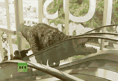 Гифки всякие