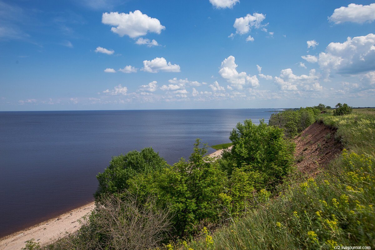 Фото ильмень озеро новгородская область