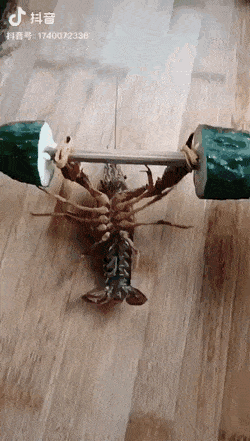 Гифки всякие