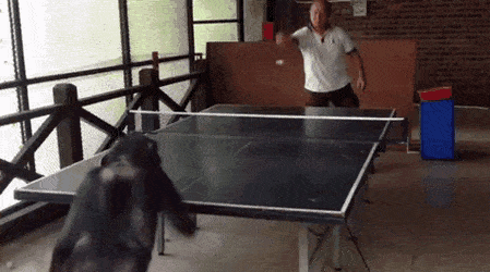 Гифки всякие