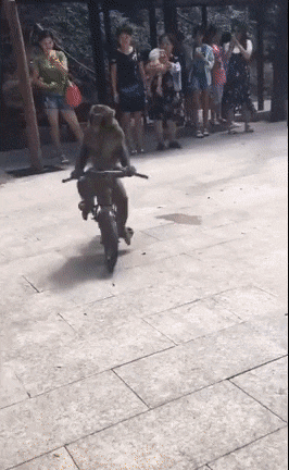 Гифки всякие