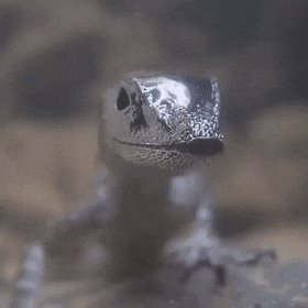 Гифки всякие