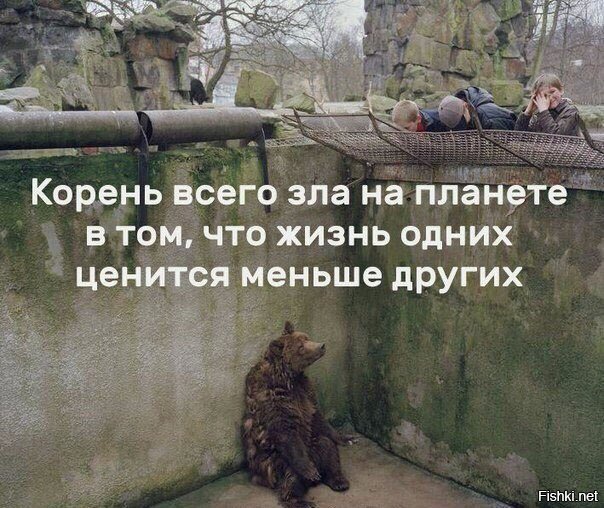 сайте картинка тем меньше это ценится уже