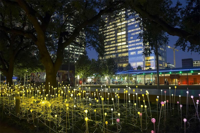 «Поле света»: художник создает масштабные световые инсталляции по всему миру