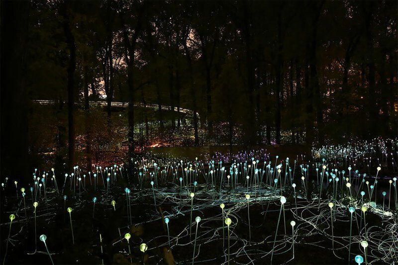 «Поле света»: художник создает масштабные световые инсталляции по всему миру