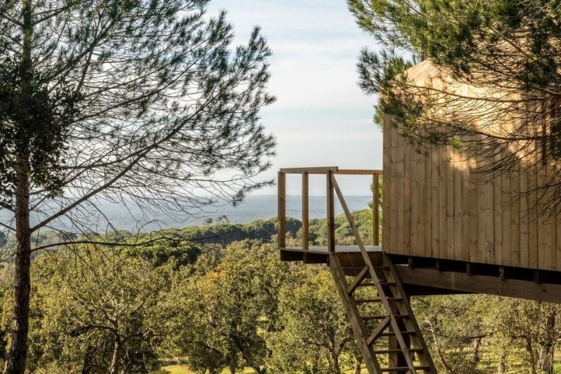 Деревянный домик на дереве в Португалии