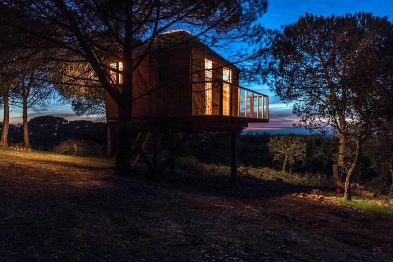 Деревянный домик на дереве в Португалии