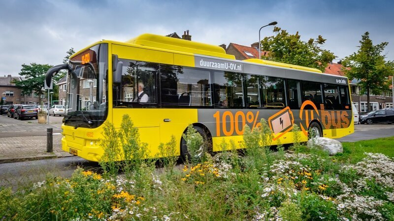 В Нидерландах установили автобусные остановки с растениями на крыше для пчел и шмелей