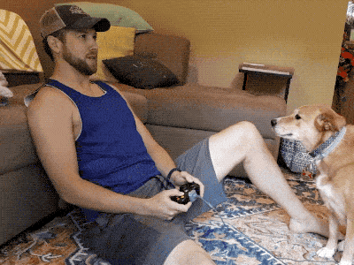 Собачьи гифки