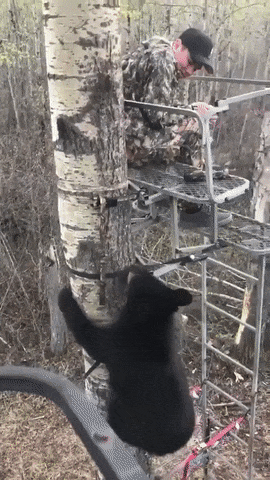 Посижу-ка я тут с тобой