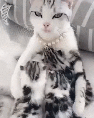 Величественая мама