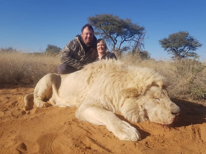 На других фотографиях изображена та же пара перед другим мёртвым львом, их они подписали так: