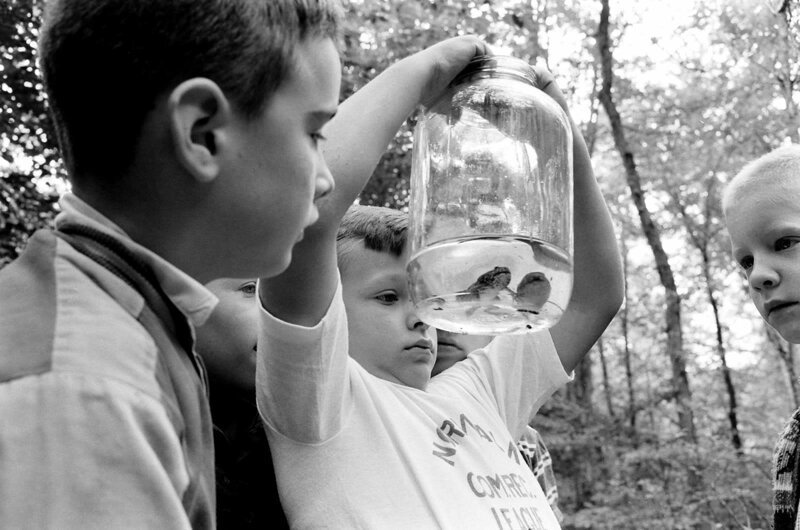 Дети поймали лягушек и рассматривают их, 1963 г.
