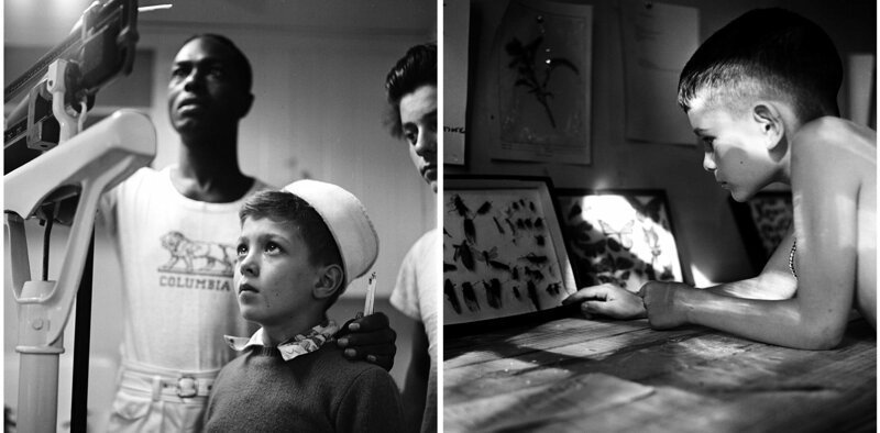 Ребенок на медосмотре. Мальчик рассматривает коллекцию бабочек. Лагерь Генри, Нью-Йорк, 1948 г.