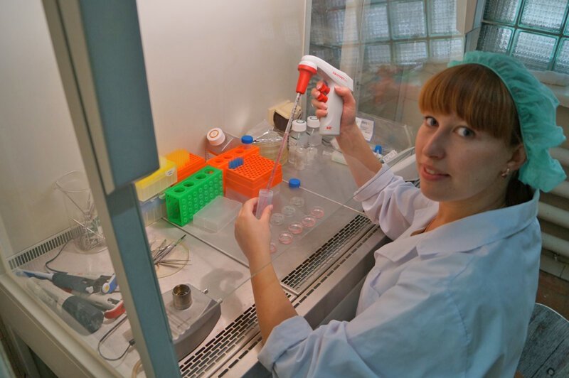 Молодой ученый из Пущино стоит на пороге создания чудо-препарата от инсульта