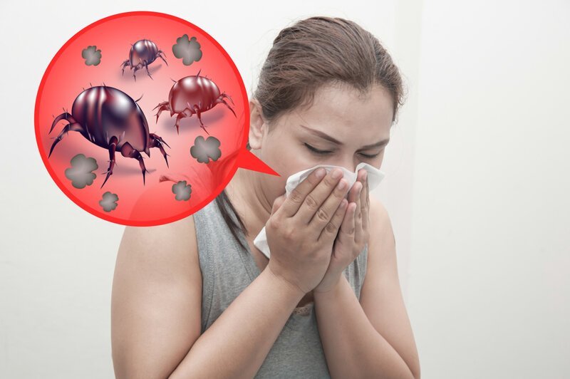 Каким образом домашняя пыль влияет на человеческий организм?